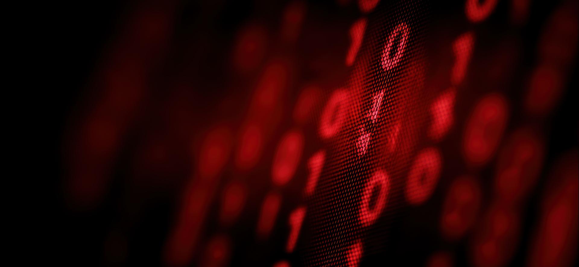 czerwone linie zer i jedynek