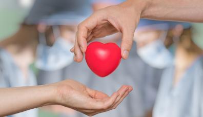 zdjęcie przedstawiające przybliżony model serca ludzkiego