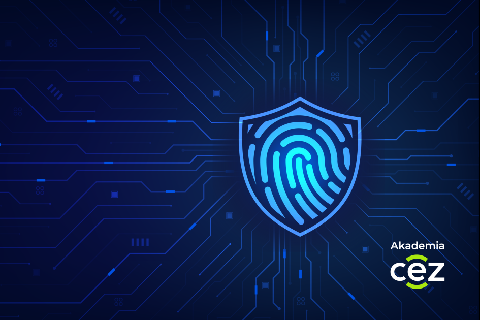 graficzna reprezentacja cyberbezpieczeństwa, cyfrowe połączenia i kłódki symbolizujące bezpieczeństwo